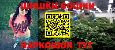индика Ливны