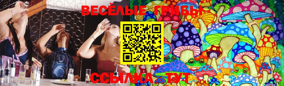 Псилоцибиновые грибы GOLDEN TEACHER  Вход с VPN  Асино 