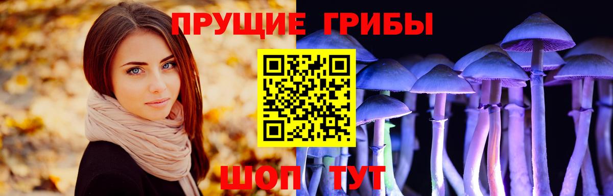 Псилоцибиновые грибы Cubensis Асино